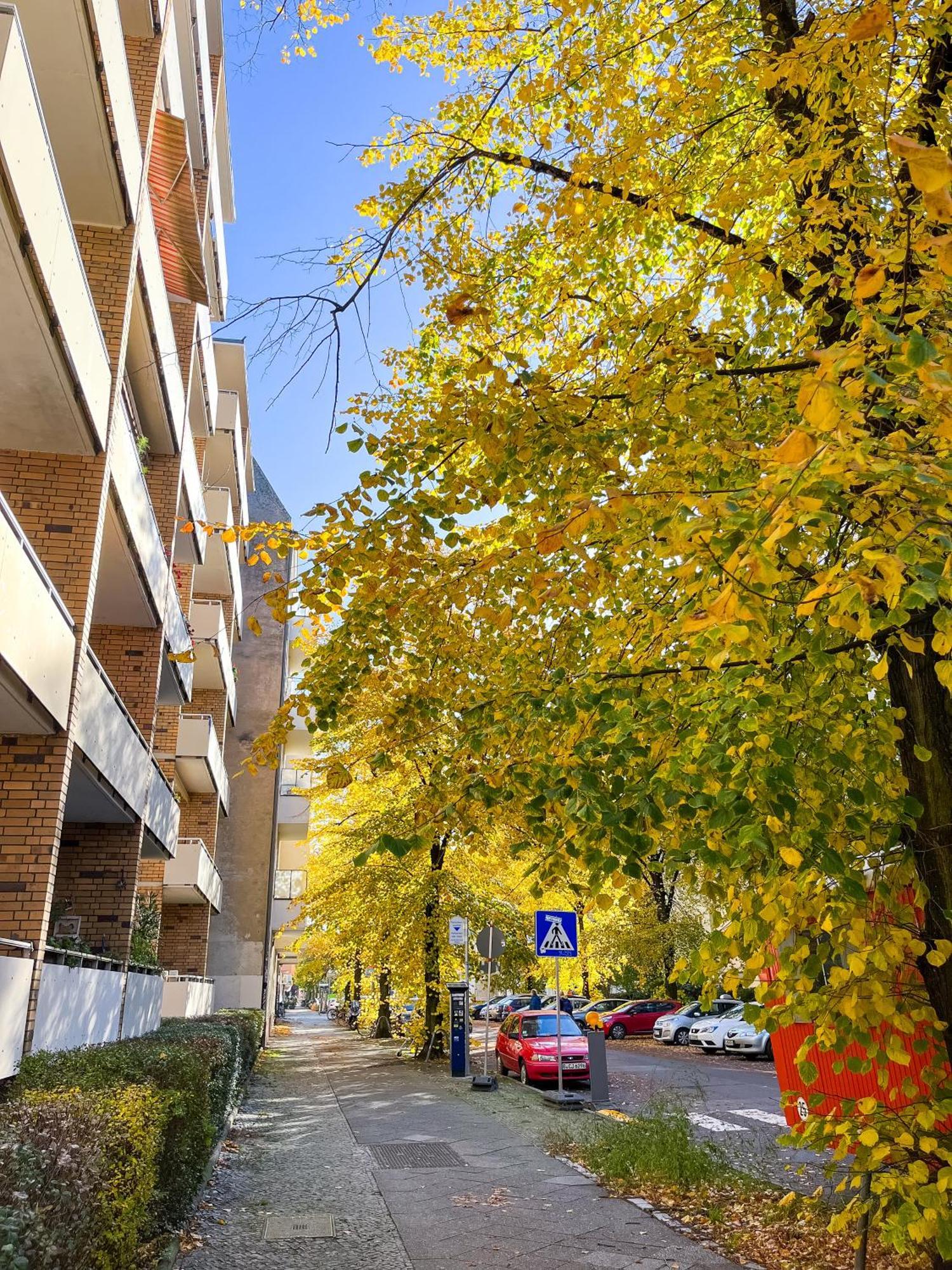 01 Bedroom In Mitte-Up To 5 People-Private Free Parking Berlin Zewnętrze zdjęcie